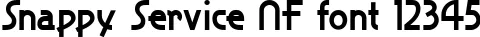 Dynamic Snappy Service NF Font Preview https://safirsoft.com