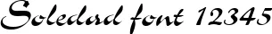 Dynamic Soledad Font Preview https://safirsoft.com