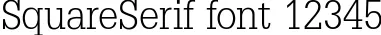 Dynamic SquareSerif Font Preview https://safirsoft.com