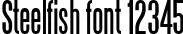 Dynamic Steelfish Font Preview https://safirsoft.com