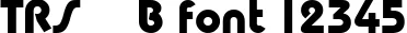 Dynamic TRS    B Font Preview https://safirsoft.com