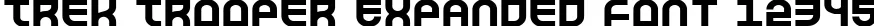Dynamic Trek Trooper Expanded Font Preview https://safirsoft.com