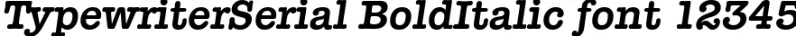Dynamic TypewriterSerial BoldItalic Font Preview https://safirsoft.com