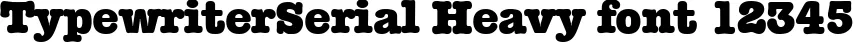 Dynamic TypewriterSerial Heavy Font Preview https://safirsoft.com