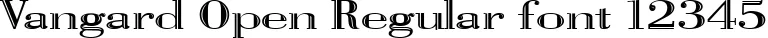 Dynamic Vangard Open Regular Font Preview https://safirsoft.com