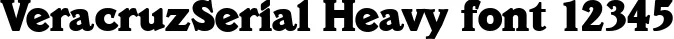 Dynamic VeracruzSerial Heavy Font Preview https://safirsoft.com
