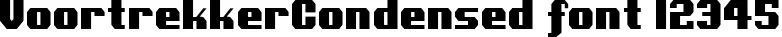 Dynamic VoortrekkerCondensed Font Preview https://safirsoft.com