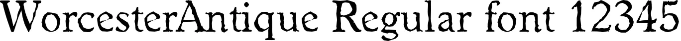 Dynamic WorcesterAntique Regular Font Preview https://safirsoft.com