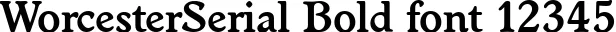 Dynamic WorcesterSerial Bold Font Preview https://safirsoft.com