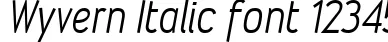 Dynamic Wyvern Italic Font Preview https://safirsoft.com