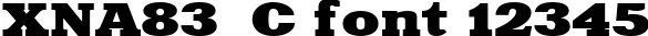 Dynamic XNA83  C Font Preview https://safirsoft.com
