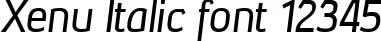 Dynamic Xenu Italic Font Preview https://safirsoft.com