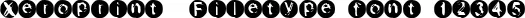 Dynamic Xeroprint  Filetype Font Preview https://safirsoft.com