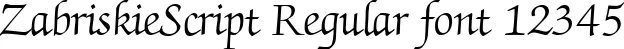 Dynamic ZabriskieScript Regular Font Preview https://safirsoft.com