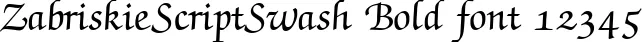 Dynamic ZabriskieScriptSwash Bold Font Preview https://safirsoft.com