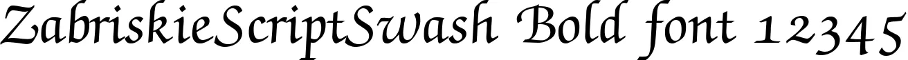 Dynamic ZabriskieScriptSwash Bold Font Preview https://safirsoft.com