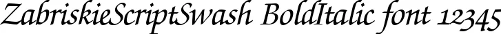 Dynamic ZabriskieScriptSwash BoldItalic Font Preview https://safirsoft.com