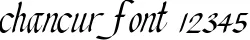 Dynamic chancur Font Preview https://safirsoft.com