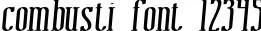 Dynamic combusti Font Preview https://safirsoft.com