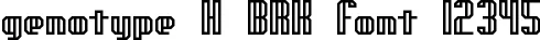 Dynamic genotype H BRK Font Preview https://safirsoft.com