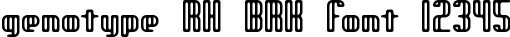 Dynamic genotype RH BRK Font Preview https://safirsoft.com