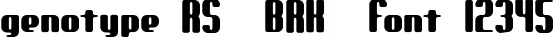 Dynamic genotype RS  BRK  Font Preview https://safirsoft.com