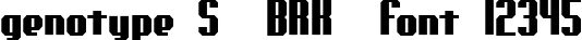 Dynamic genotype S  BRK  Font Preview https://safirsoft.com