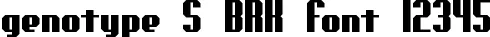 Dynamic genotype S BRK Font Preview https://safirsoft.com