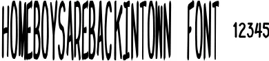 Dynamic homeboysarebackintown Font Preview https://safirsoft.com