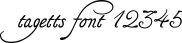 Dynamic tagetts Font Preview https://safirsoft.com