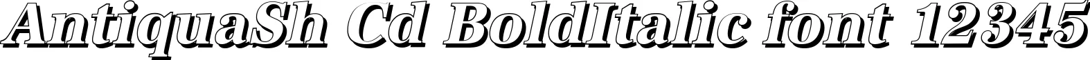 Dynamic AntiquaSh Cd BoldItalic Font Preview https://safirsoft.com