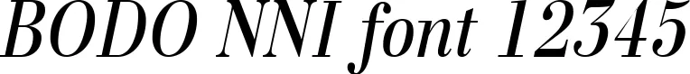 Dynamic BODO NNI Font Preview https://safirsoft.com