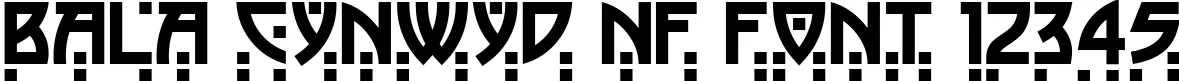 Dynamic Bala Cynwyd NF Font Preview https://safirsoft.com