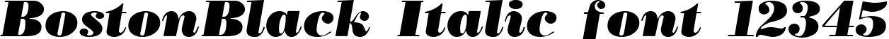 Dynamic BostonBlack Italic Font Preview https://safirsoft.com