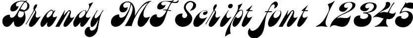Dynamic Brandy MF Script Font Preview https://safirsoft.com