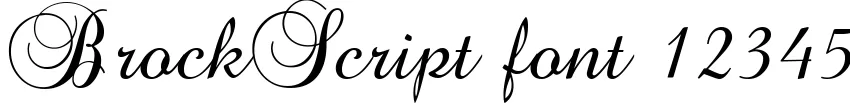 Dynamic BrockScript Font Preview https://safirsoft.com