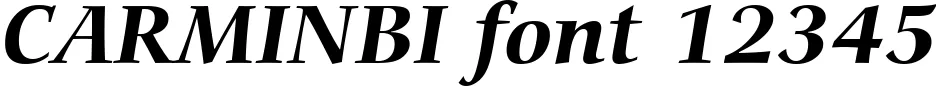 Dynamic CARMINBI Font Preview https://safirsoft.com