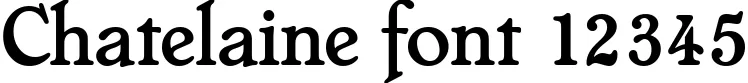 Dynamic Chatelaine Font Preview https://safirsoft.com