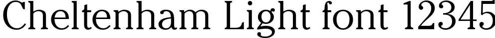 Dynamic Cheltenham Light Font Preview https://safirsoft.com