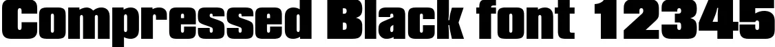 Dynamic Compressed Black Font Preview https://safirsoft.com
