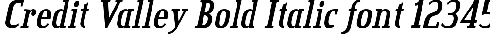 Dynamic Credit Valley Bold Italic Font Preview https://safirsoft.com