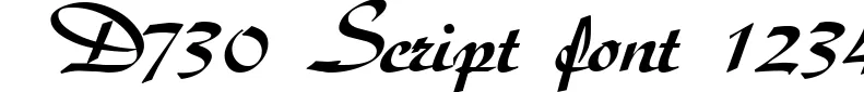 Dynamic D730 Script Font Preview https://safirsoft.com