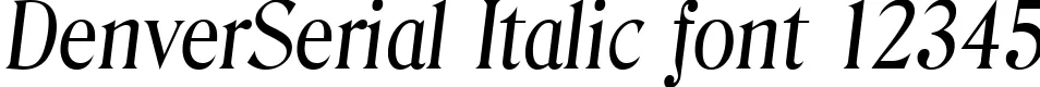Dynamic DenverSerial Italic Font Preview https://safirsoft.com