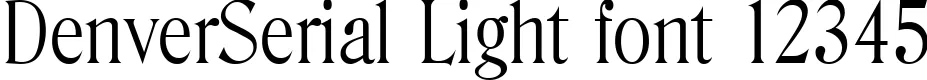 Dynamic DenverSerial Light Font Preview https://safirsoft.com