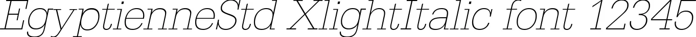 Dynamic EgyptienneStd XlightItalic Font Preview https://safirsoft.com