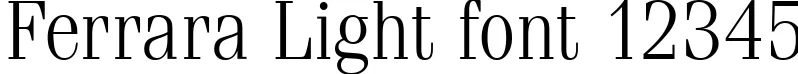 Dynamic Ferrara Light Font Preview https://safirsoft.com
