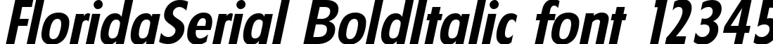 Dynamic FloridaSerial BoldItalic Font Preview https://safirsoft.com