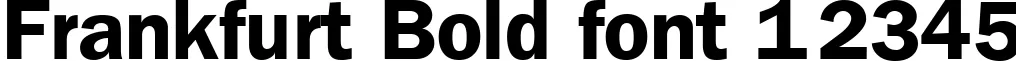 Dynamic Frankfurt Bold Font Preview https://safirsoft.com