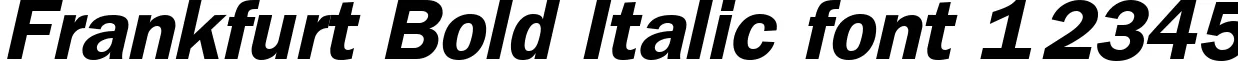 Dynamic Frankfurt Bold Italic Font Preview https://safirsoft.com