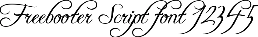 Dynamic Freebooter Script Font Preview https://safirsoft.com